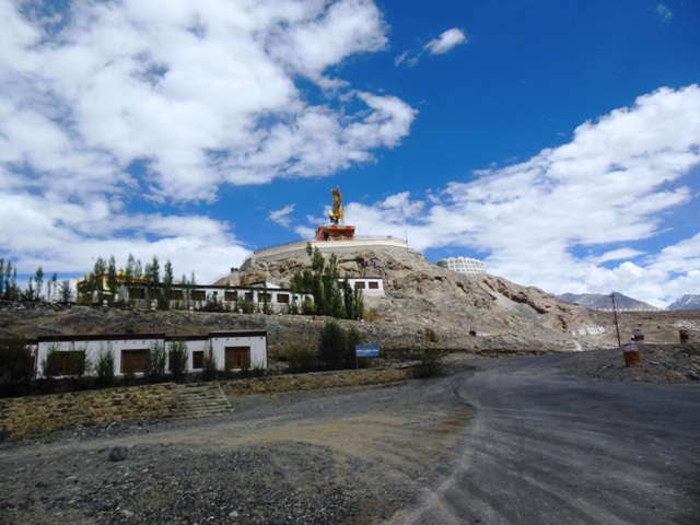 Gallery Image 11