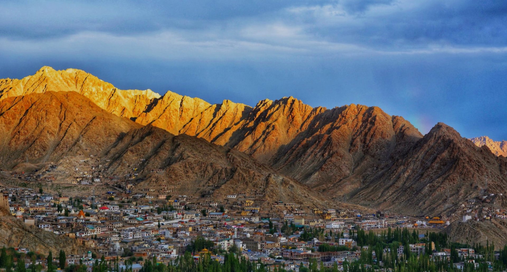 ladakh family tour packages